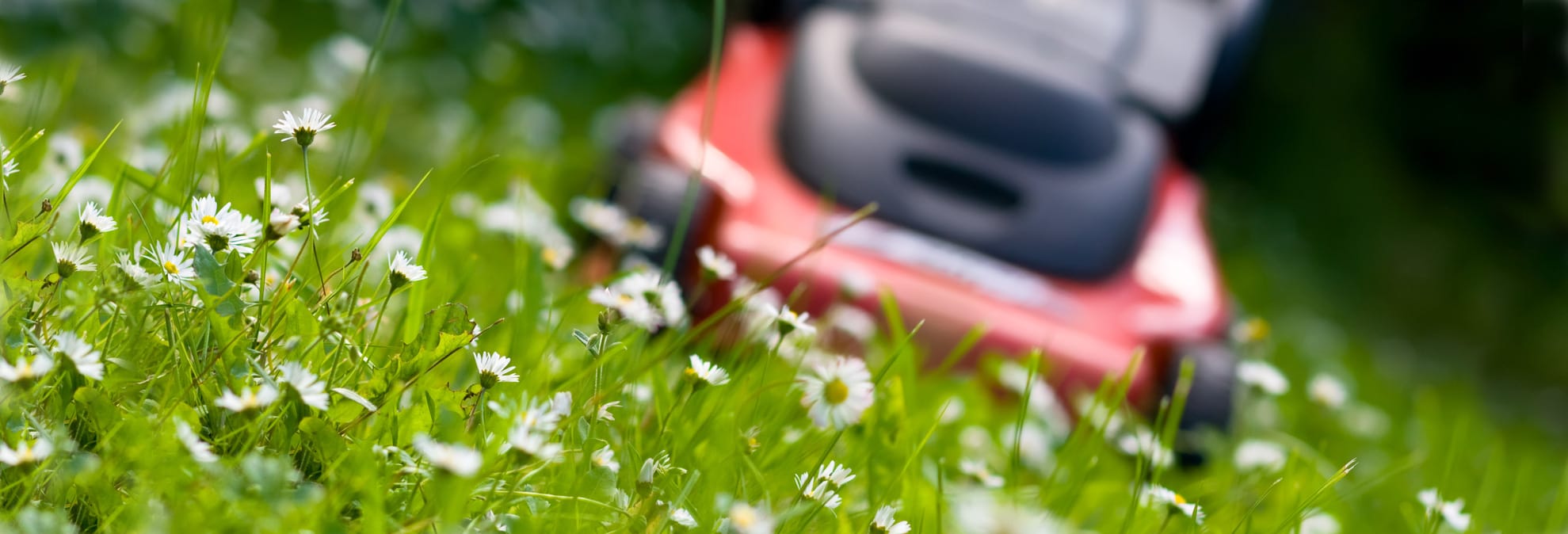 most-least-reliable-walk-behind-lawn-mower-brands-consumer-reports